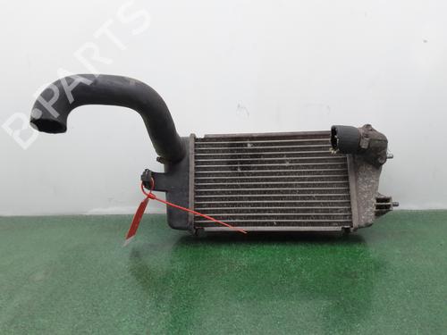 Intercooler SUZUKI SWIFT III (MZ, EZ) [2005-2026]  31352428