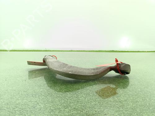 Left front suspension arm AUDI A5 (8T3) 3.0 TDI quattro | BP30508169M12