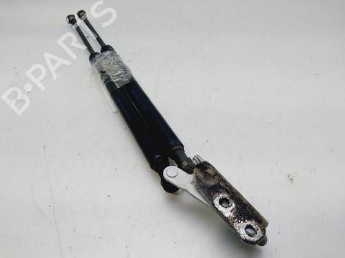 Tailgate lift support NISSAN MICRA V (K14) | BP30497915C138