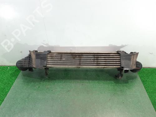 Intercooler MERCEDES-BENZ E-CLASS (W211) E 200 Kompressor (211.042) | BP11084368M30 