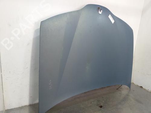 Hood RENAULT LAGUNA II Grandtour (KG0/1_) 1.9 dCi (KG0G) | BP18694131C1 
