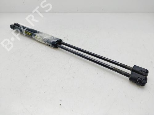 Tailgate lift support FIAT PUNTO Hatchback Van (188_) 1.2 60 | BP29763658C138 