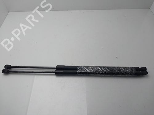 Tailgate lift support HONDA CR-V III (RE_) 2.2 i-CTDi 4WD (RE6) | BP31316398C138