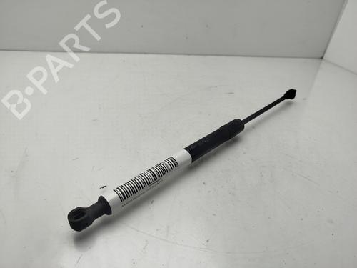 amortiguador-capot-dacia-lodgy-js_-2012-32109787 main image