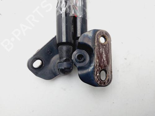 Tailgate lift support TOYOTA PRIUS (_W3_) 1.8 Hybrid (ZVW3_) | BP29418491C138 