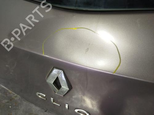 Bagklap CC/Kombi-Coupé RENAULT CLIO III (BR0/1, CR0/1) | BP30922384C6