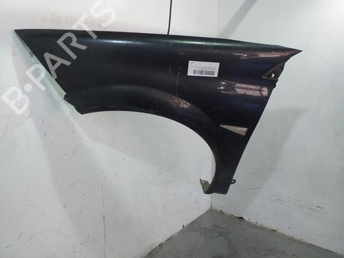 Left front fenders RENAULT MEGANE II (BM0/1_, CM0/1_) 1.9 dCi | BP18945482C41 