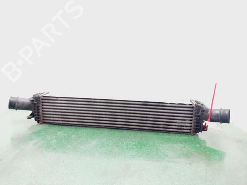 Used Intercooler SKODA FABIA I (6Y2) [1999-2008]  29620008