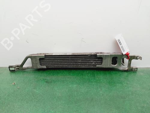Used Intercooler Intercooler MERCEDES-BENZ B-CLASS Sports Tourer (W245) [2005-2011] 33630282 33630282