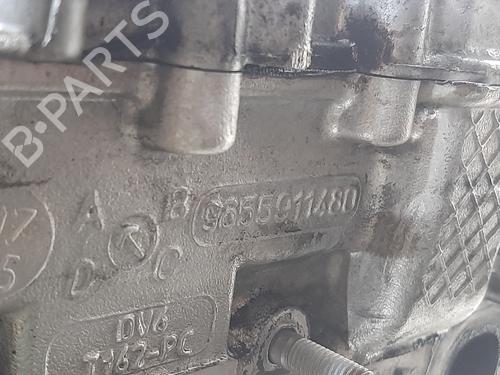 Testate FORD FOCUS C-MAX (DM2)  | BP29855826M5