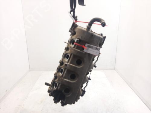 Cylinder head NISSAN ALMERA II Hatchback (N16)  | BP30182712M5 