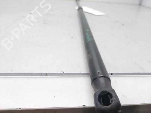 Hood lift support VW PASSAT B6 (3C2)  | BP14007413C139 
