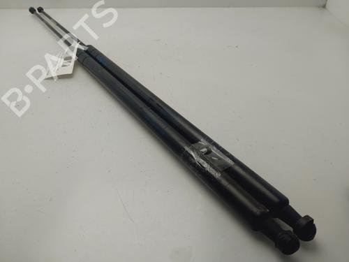 Tailgate lift support SEAT TOLEDO III (5P2)  | BP25441257C138 
