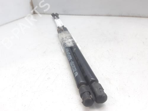 Tailgate lift support SEAT IBIZA II (6K1) 1.4 i | BP14004219C138