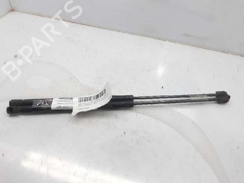 Used Tailgate lift support RENAULT MEGANE II Estate (KM0/1_) 1.9 dCi (KMRG, KM1G, KM0G, KM2C) (120 hp) 13996306