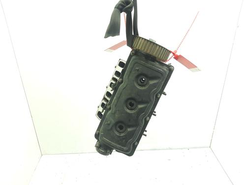 Used Cylinder head AUDI ALLROAD C5 (4BH) 2.5 TDI quattro (180 hp) 29855779