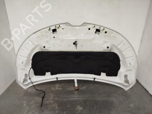 Hood RENAULT KANGOO III MPV  | BP31265398C1 