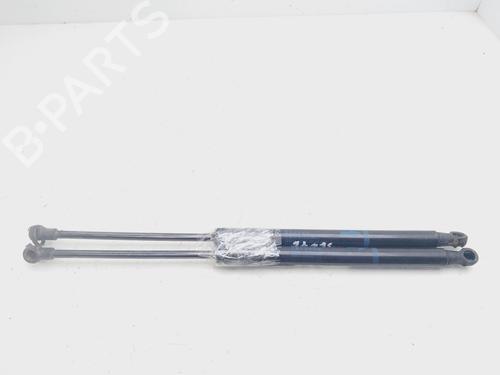 Tailgate lift support TOYOTA YARIS (_P13_)  | BP24496891C138 