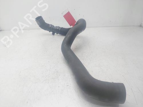 Pipe DACIA SANDERO III | BP29572596M125