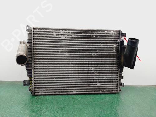 Intercooler JAGUAR XF I (X250) 3.0 D (241 hp) 31352469