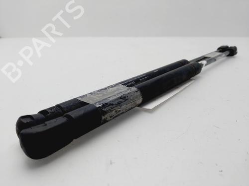 Tailgate lift support CHEVROLET AVEO / KALOS Hatchback (T200) 1.4 16V | BP23648690C138 