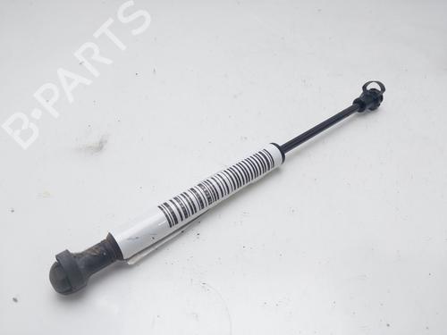 Hood lift support VOLVO S60 I (384) 2.4 D | BP16213329C139 