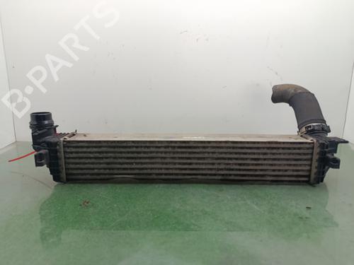 Used Intercooler Intercooler RENAULT GRAND SCÉNIC III (JZ0/1_) [2009-2016] 33630310 33630310
