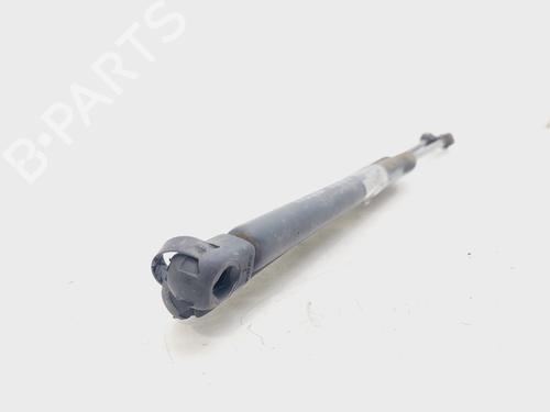 Tailgate lift support PEUGEOT 307 Break (3E) 2.0 HDI 90 | BP19778470C138 