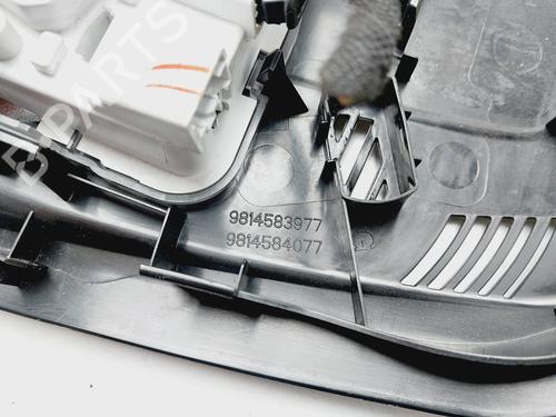 Interior roof light PEUGEOT 3008 II SUV (MC_, MR_, MJ_, M4_) 1.5 BlueHDi 130 | BP26406624I8