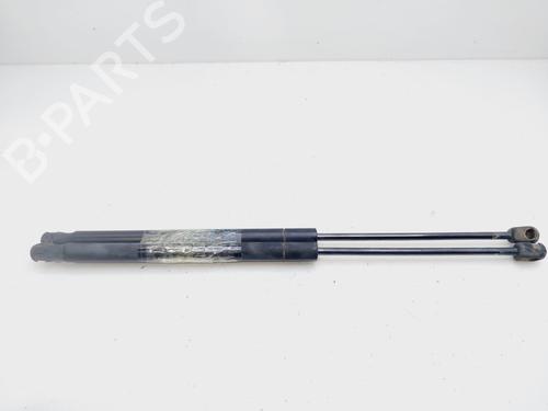 Tailgate lift support FORD FOCUS II (DA_, HCP, DP)  | BP21124981C138 