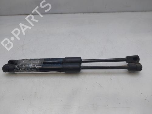 Hood lift support BMW 1 (F20) 116 d | BP16006512C139 