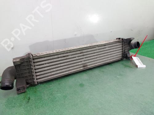 Intercooler FORD FOCUS II (DA_, HCP, DP) 1.8 TDCi | BP12821197M30 