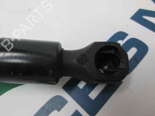 Tailgate lift support RENAULT TWINGO I (C06_) 1.2 (C067) | BP14001671C138 