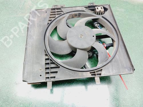 Used Radiator fan PEUGEOT 207 (WA_, WC_) [2006-2015]  28727865