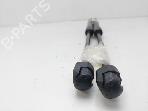 Tailgate lift support SEAT ALTEA XL (5P5, 5P8)  | BP16164451C138 