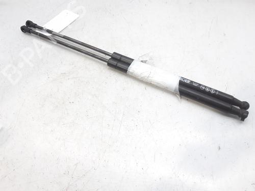 Gasdæmper bagklap RENAULT LAGUNA II (BG0/1_) 1.9 dCi (BG0R, BG0E) (100 hp) 14004486