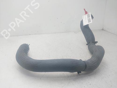 Pipe RENAULT AUSTRAL  | BP29572551M125 