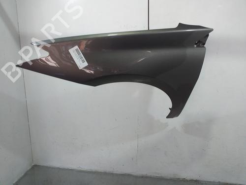 Used Left front fenders RENAULT LAGUNA III (BT0/1) 2.0 dCi (BT01, BT08, BT09, BT0E, BT0K, BT12, BT1C, BT1D,... (150 hp) 17946149