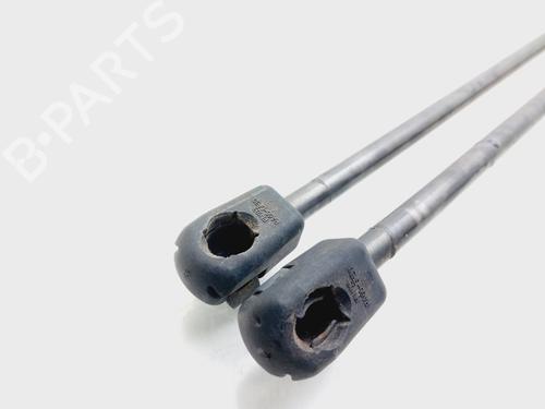 Tailgate lift support FORD FIESTA VI (CB1, CCN) 1.6 TDCi | BP25990226C138 
