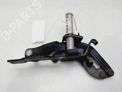 Hinge/Door check strap PEUGEOT RCZ 1.6 16V | BP29582343C146 