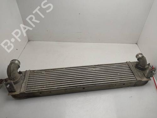 Used Intercooler Intercooler RENAULT KOLEOS I (HY_) 2.0 dCi (HY0K) (150 hp) 40621901 40621901
