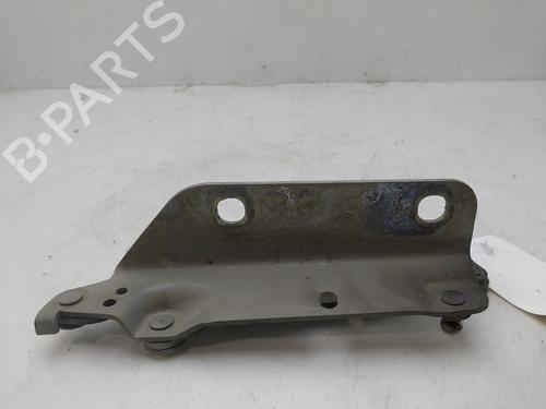 Hinge/Door check strap LAND ROVER FREELANDER 2 (L359) 2.2 TD4 4x4 | BP16932057C146 