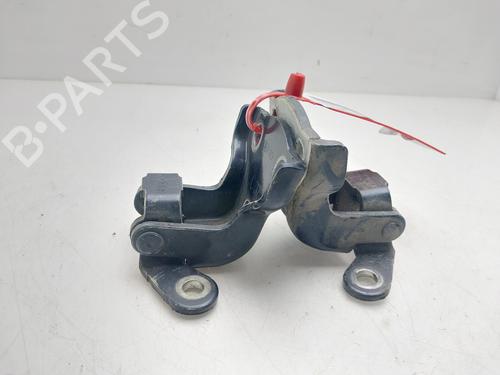 hingedoor-check-strap-chevrolet-captiva-c100-c140-2006-36551941 main image