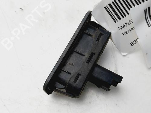 Tailgate handle RENAULT MEGANE II (BM0/1_, CM0/1_) 1.5 dCi (BM1E, CM1E) | BP19083253C132 