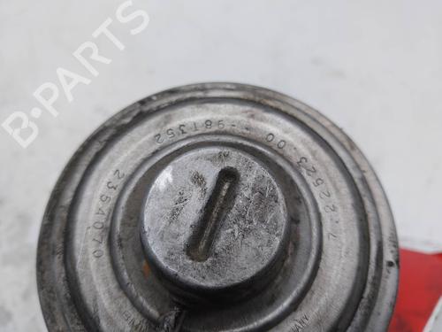 Egr BMW 3 (E46) 320 d | BP18319893M69 