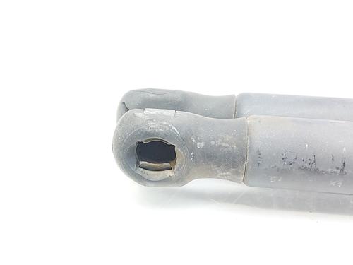 Tailgate lift support FORD FIESTA V (JH_, JD_) 1.4 TDCi | BP14006540C138 
