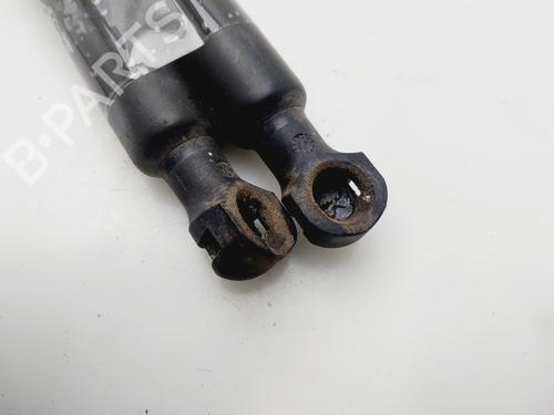 Tailgate lift support DACIA SANDERO II | BP32467999C138