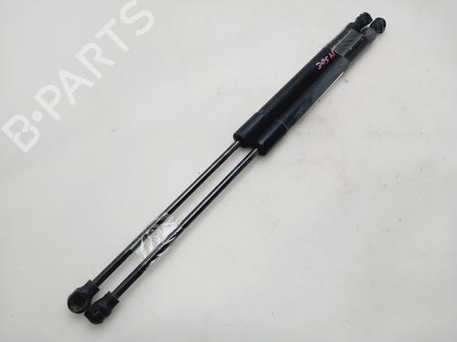 Tailgate lift support DACIA SANDERO II | BP32467999C138