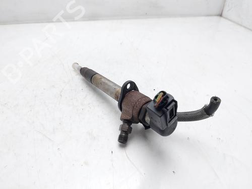 Injector LAND ROVER RANGE ROVER SPORT I (L320) 2.7 D 4x4 | BP17719385M100 