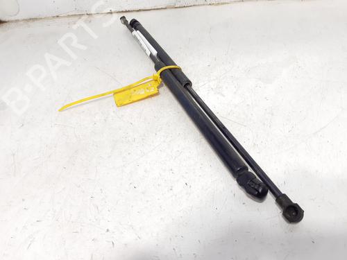 Gassdemper Bakluke SEAT TOLEDO II (1M2) 1.9 TDI (110 hp) 14000261